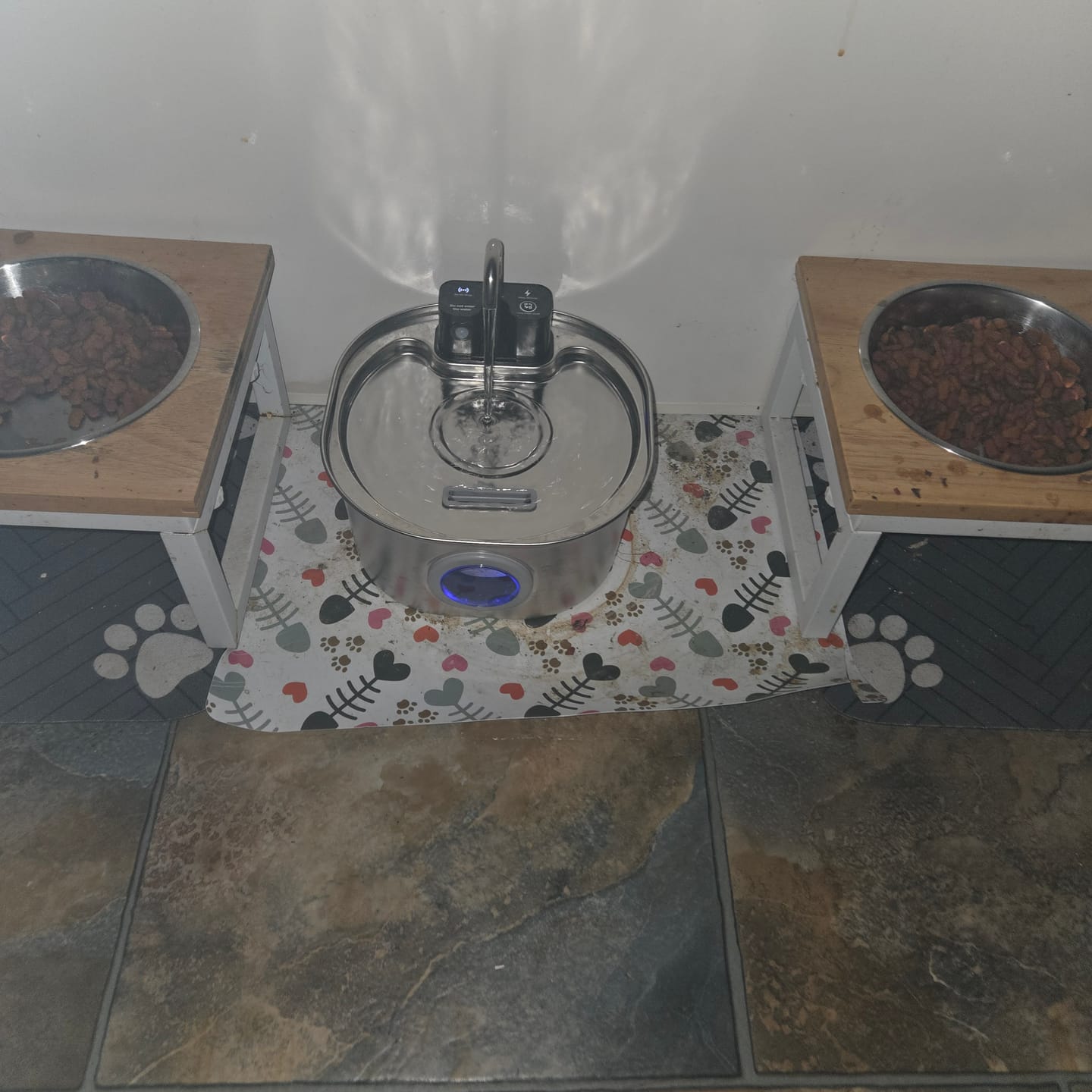 Customer photo review of Wireless Rechargeable 3.2L Whisker Co Drinking Fountain