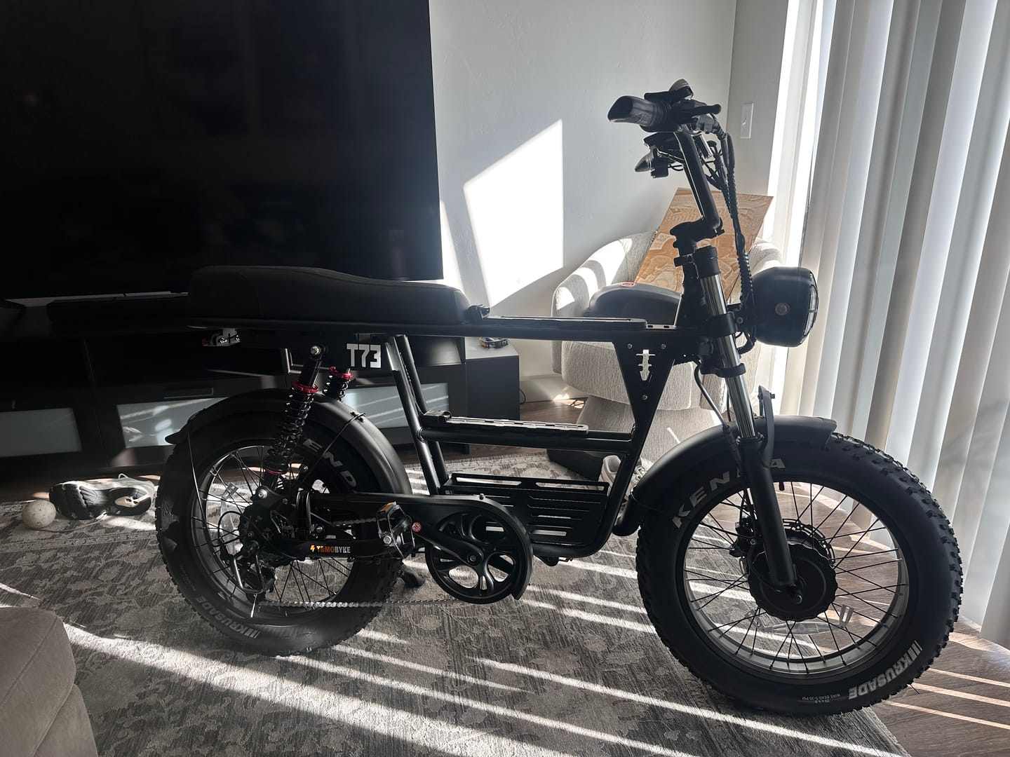 Customer photo review of Tamobyke T73 Pro Max Electric Bike