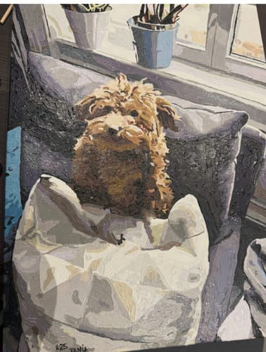 Customer photo review of Custom Pet Paint By Numbers