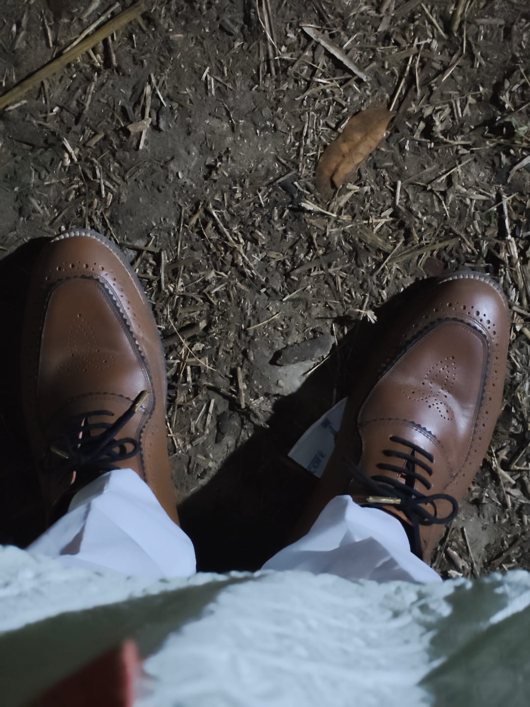 Customer photo review of Maharaja Brogues Men – Cedar