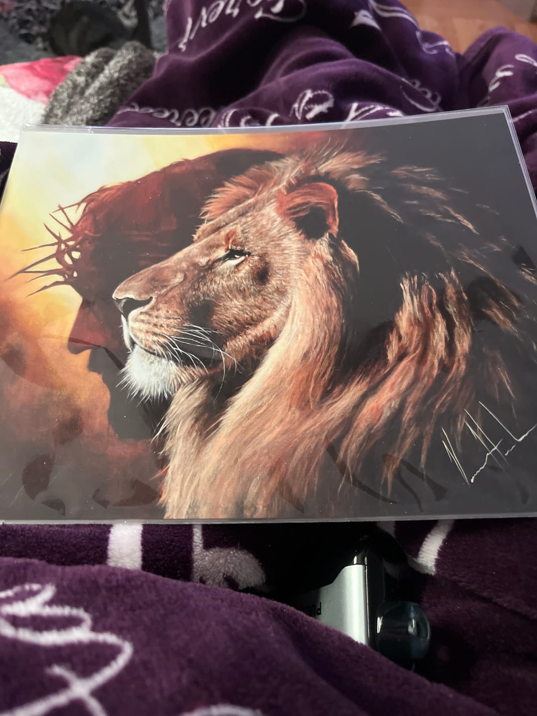 Customer photo review of The Lion of Judah
