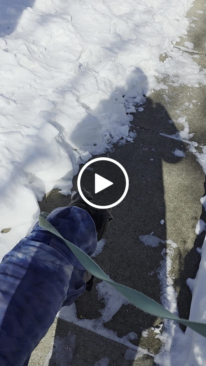 Customer video review of AIR PUP DOG BOOTS - SET OF 4