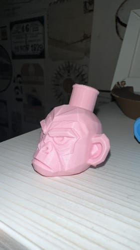 Customer photo review of PLA Mate
