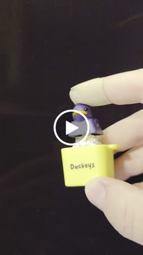 Customer video review of Quackey - Fidget Toy that Quacks!