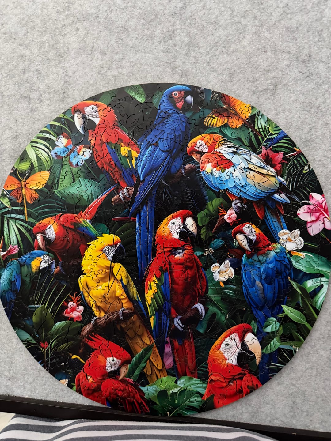 Customer photo review of Colorful Parrots - Wooden Puzzle