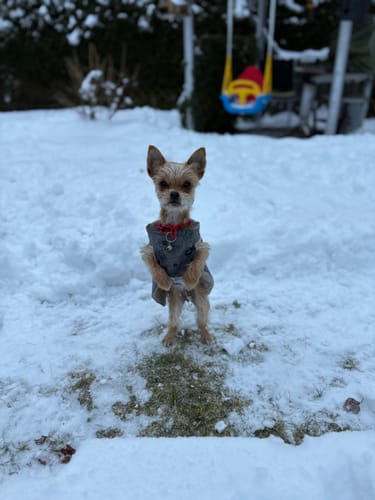 Customer photo review of Mini Chain (u30cm HU)