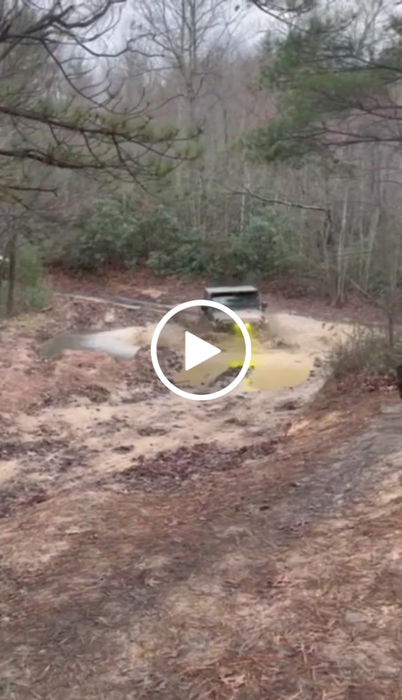 Customer video review of Graphic InsertZ | Subscription Box