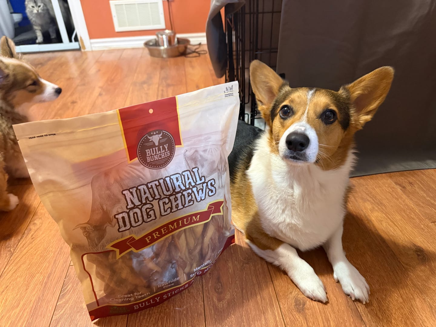 Customer photo review of 6 Inch Jumbo Braided Bully Stick