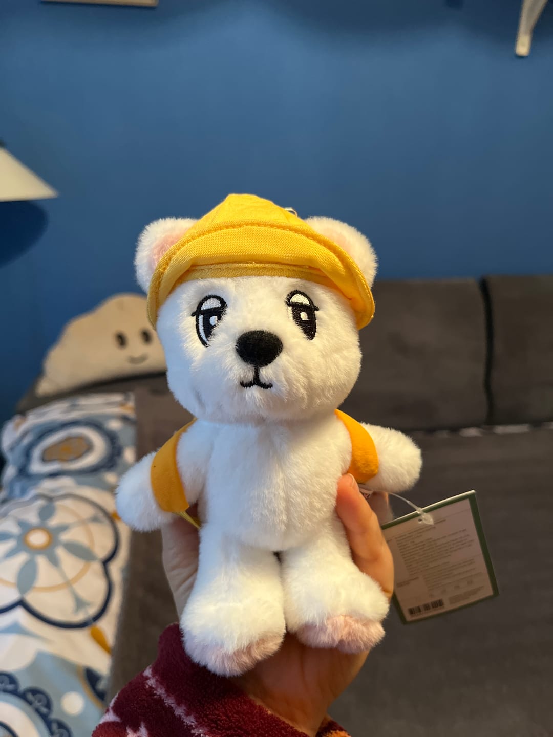 Customer photo review of LEE DONG WOOK [WOOKDONG’s Home Sweet Home] Wookdong Plush Keyring