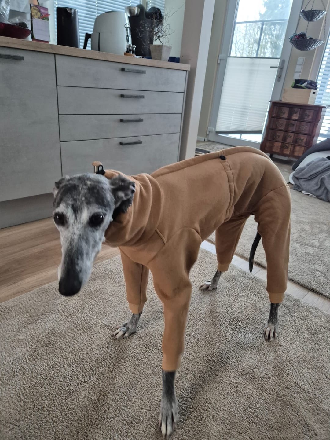 Customer photo review of Nuuk "Camel"
