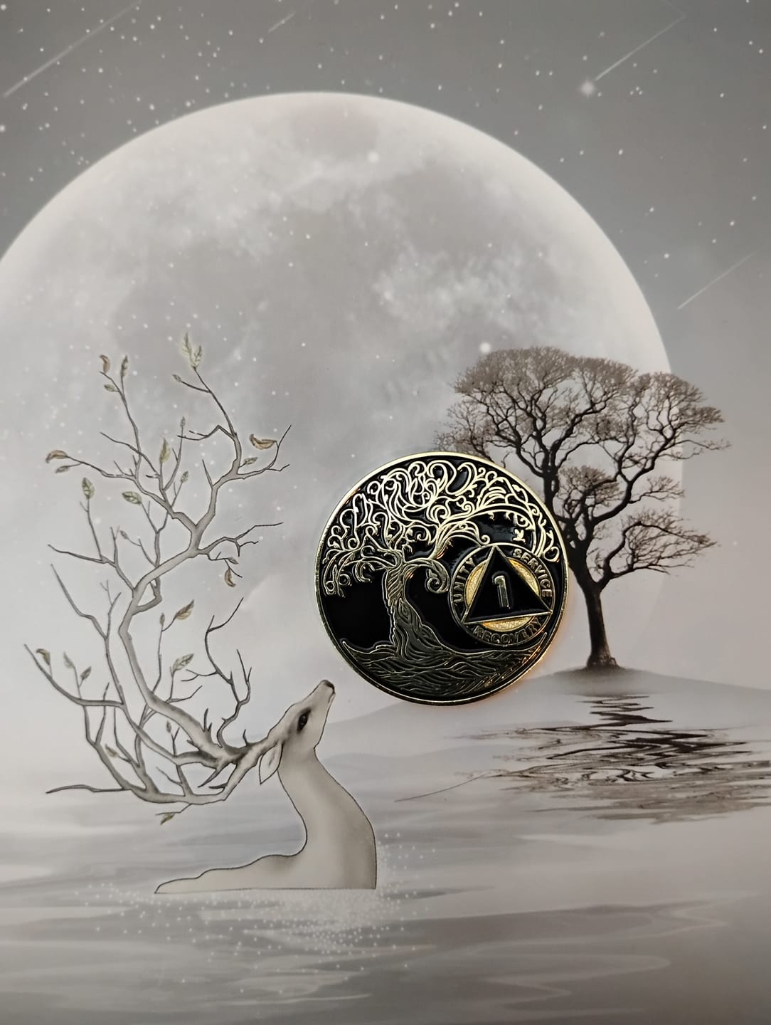 Customer photo review of 1 to 65 Year Sobriety Mint Twisted Tree of Life Gold Plated AA Recovery Medallion/Chip/Coin - Black