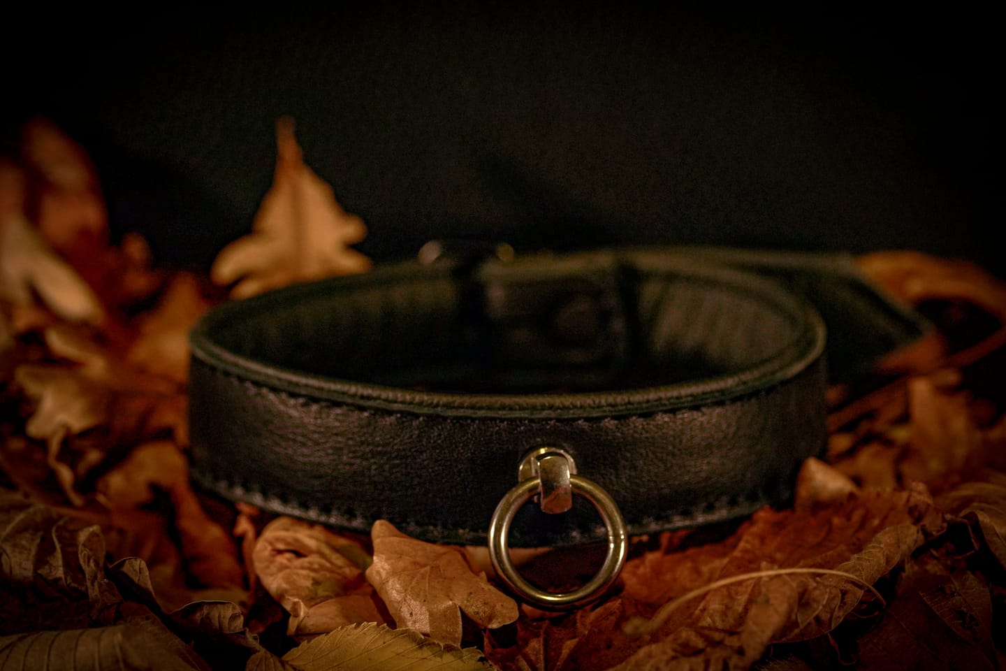 Customer photo review of SiaLinda: Halsband echtes Elch Leder schwarz 30mm, solo oder mit O-Ring, Geschenkverpackung