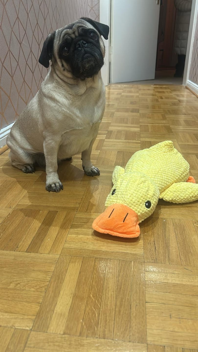 Customer photo review of HappyDuck™ – Anti-stress kosedyr