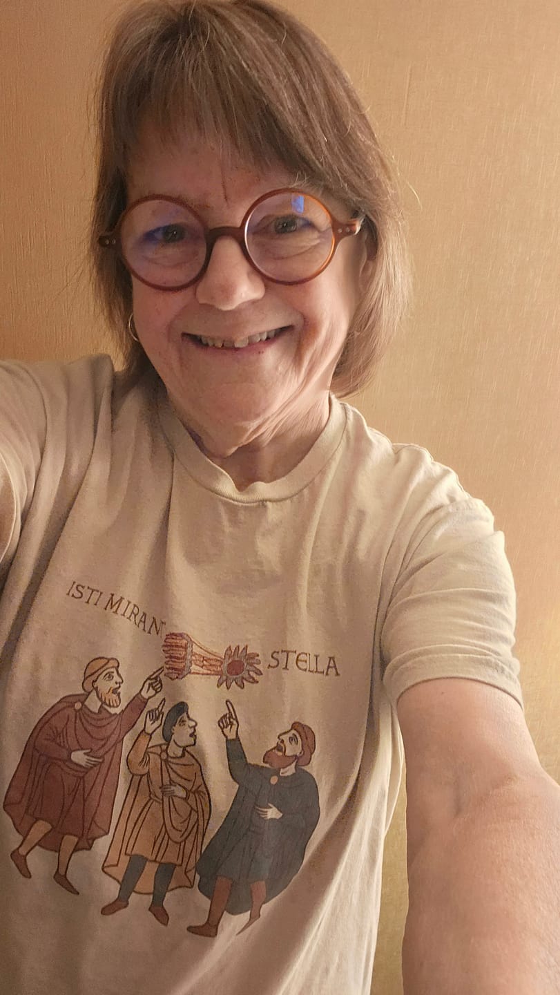 Customer photo review of Bayeux Tapestry Comet Unisex Lightweight T-Shirt