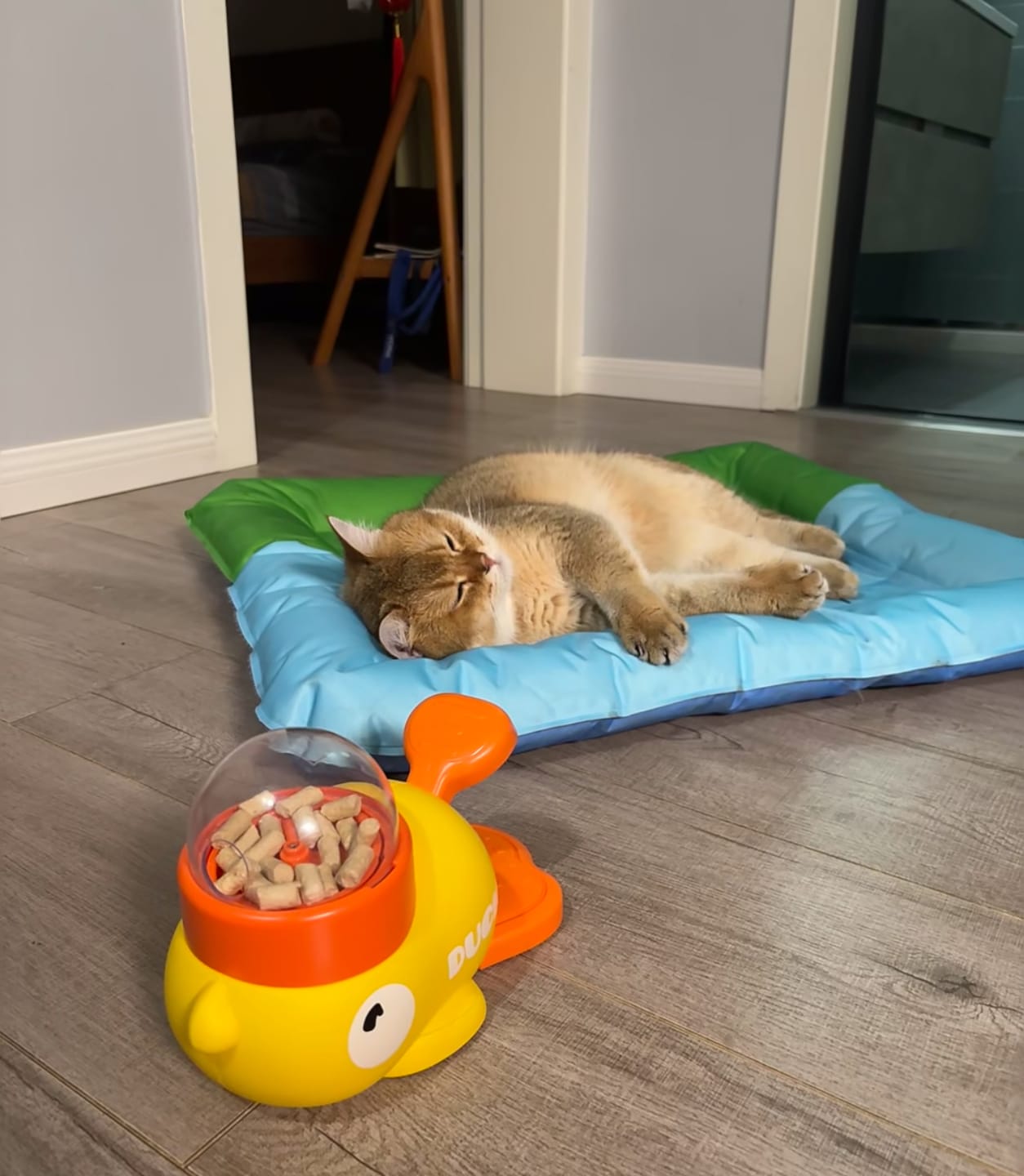 Customer photo review of Interactive Pet Feeder