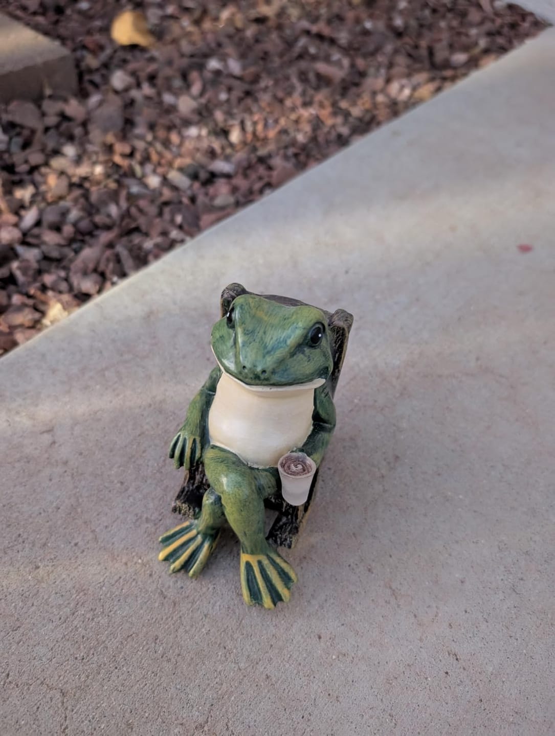 Customer photo review of Solar Mini Frog Garden Statue – Glowing Outdoor Decor