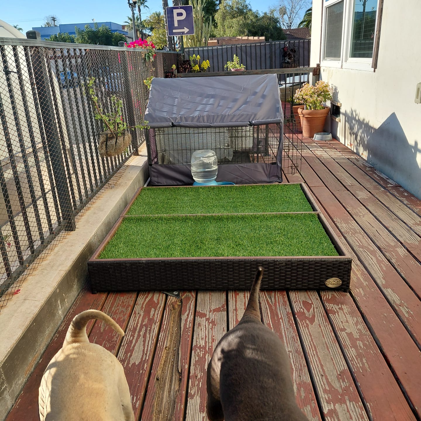Customer photo review of Porch Potty MEGA