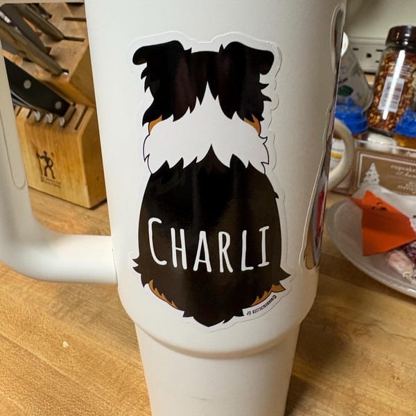 Customer photo review of Aussie Behind Sticker