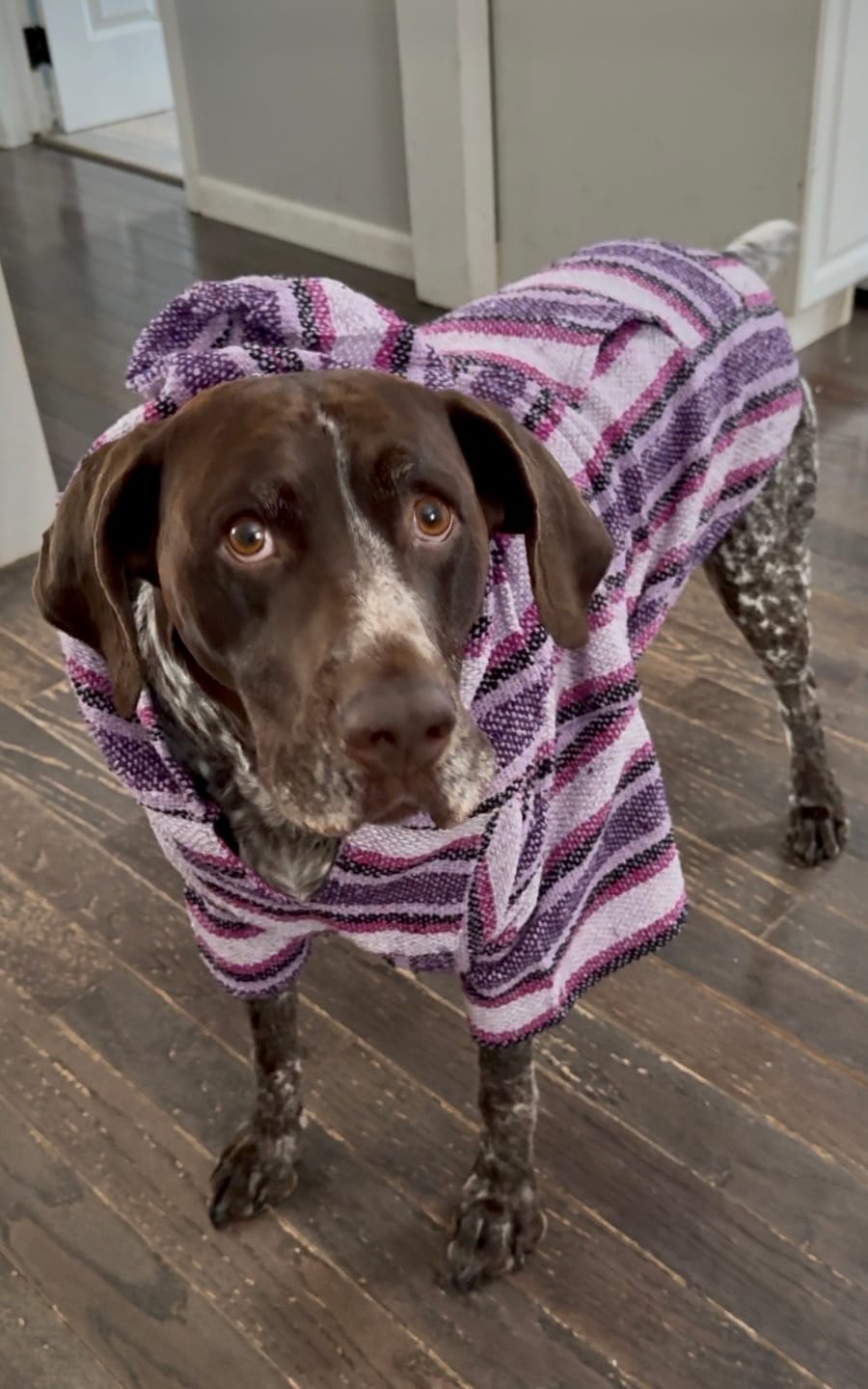Customer photo review of Playa Poncho – Mystery Color (Bella, Charlie, or Fun Edition)