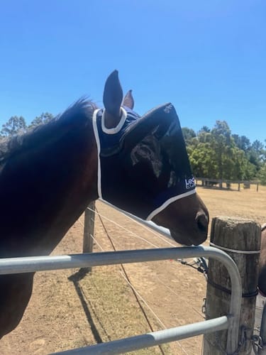 Customer photo review of LE Outback Fly Mask Original
