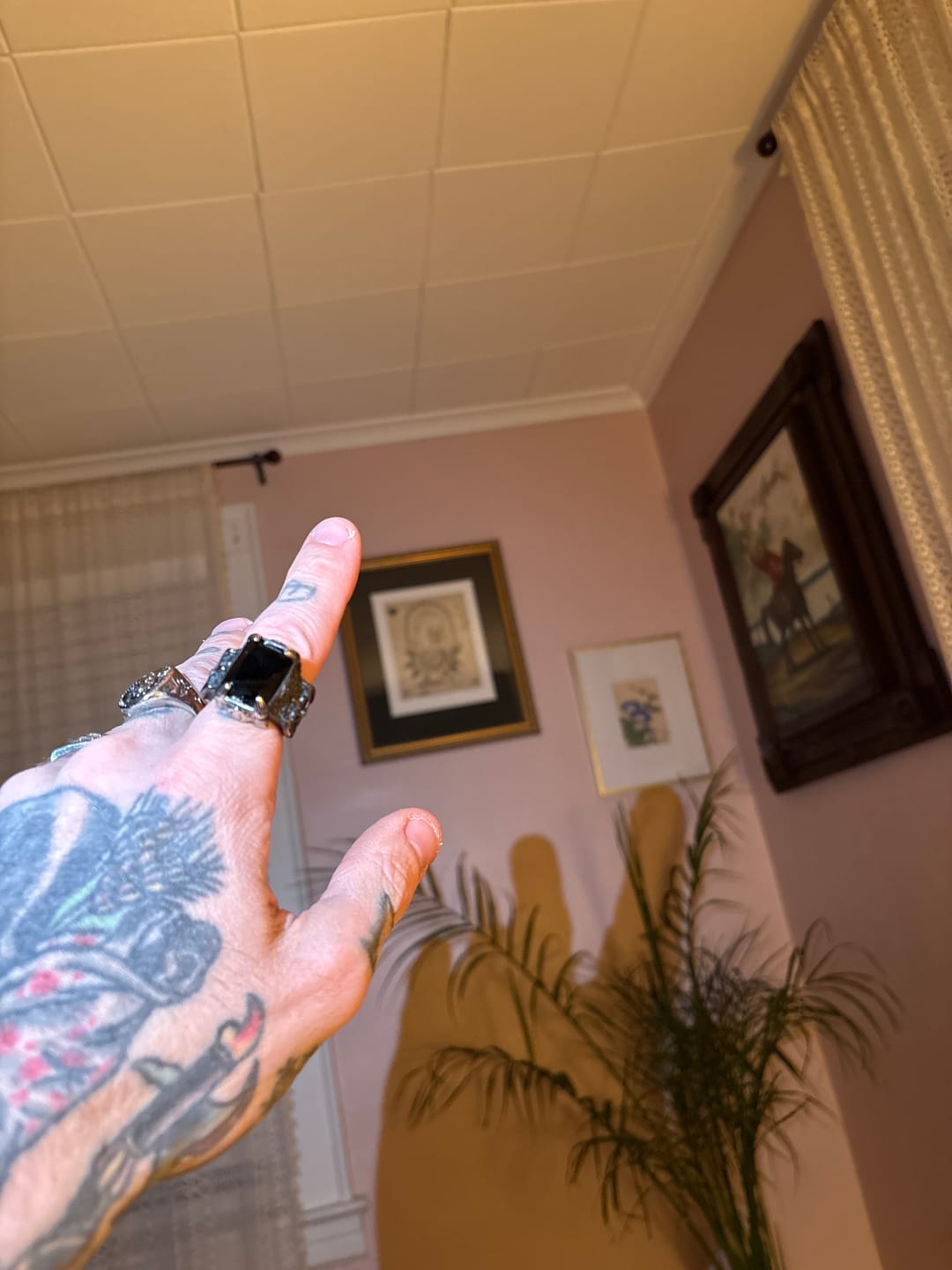 Customer photo review of BLACK COFFIN.
