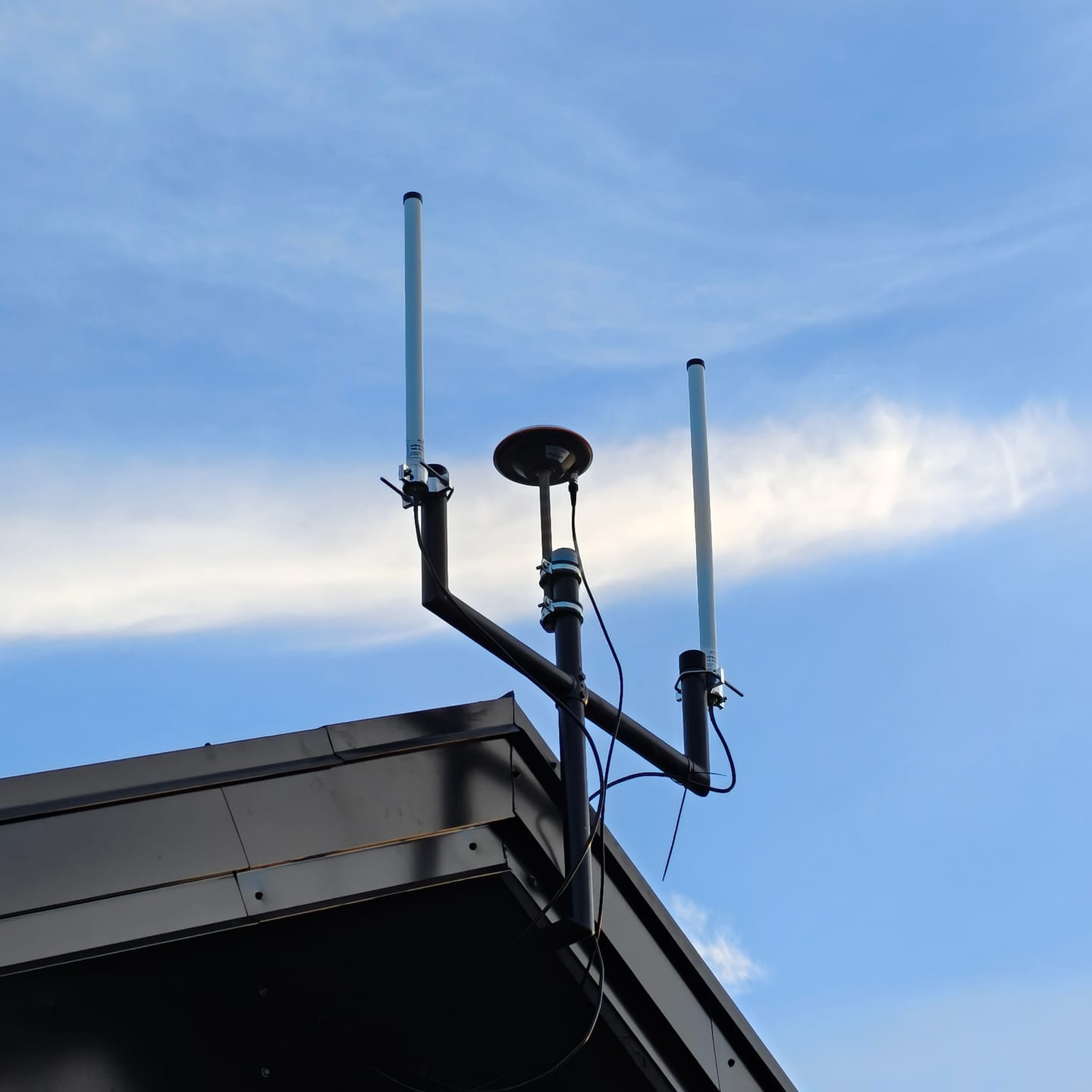 Customer photo review of Airsquitter (4DSKY)