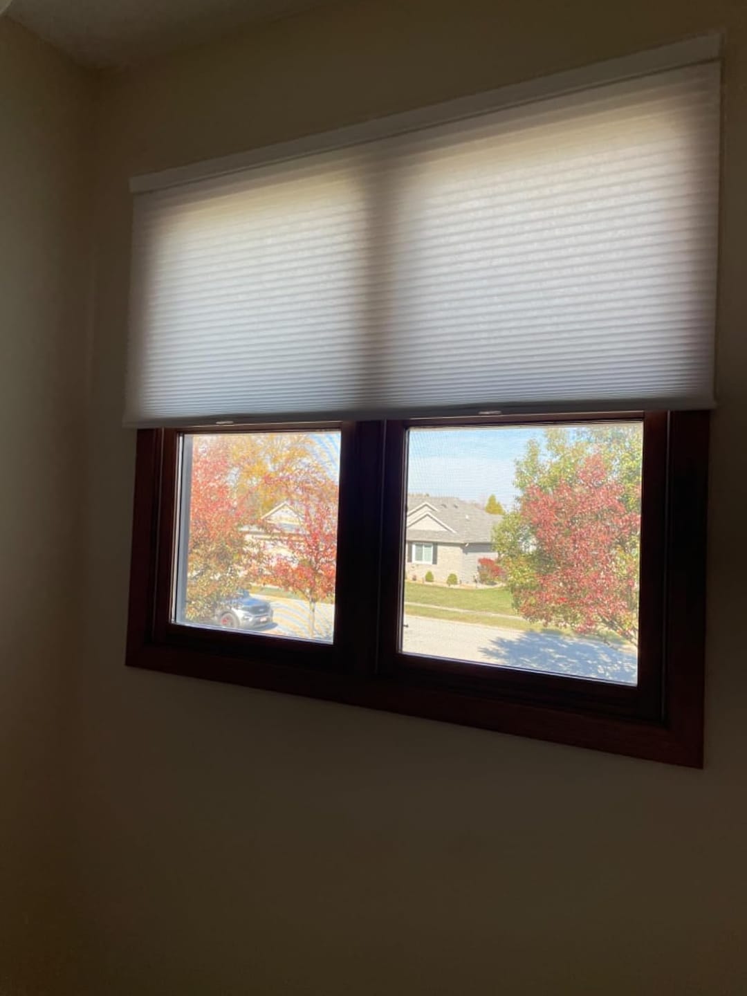 Customer photo review of Bringnox Light Filtering Motorized Cellular Shades Prestige | Designer Textures
