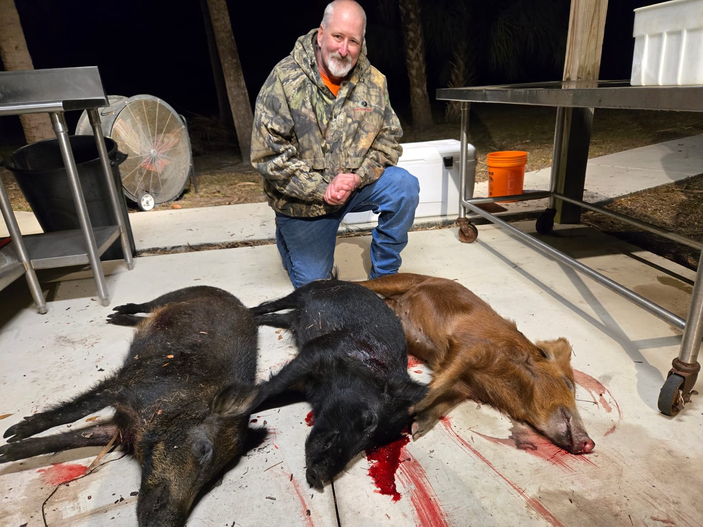 Customer photo review of VisX See Through 300D Hunting Blind 2-3 Person Pop Up Ground Deer Blind