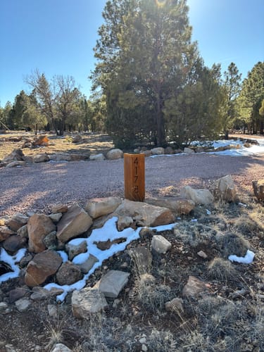 Customer photo review of Address Column