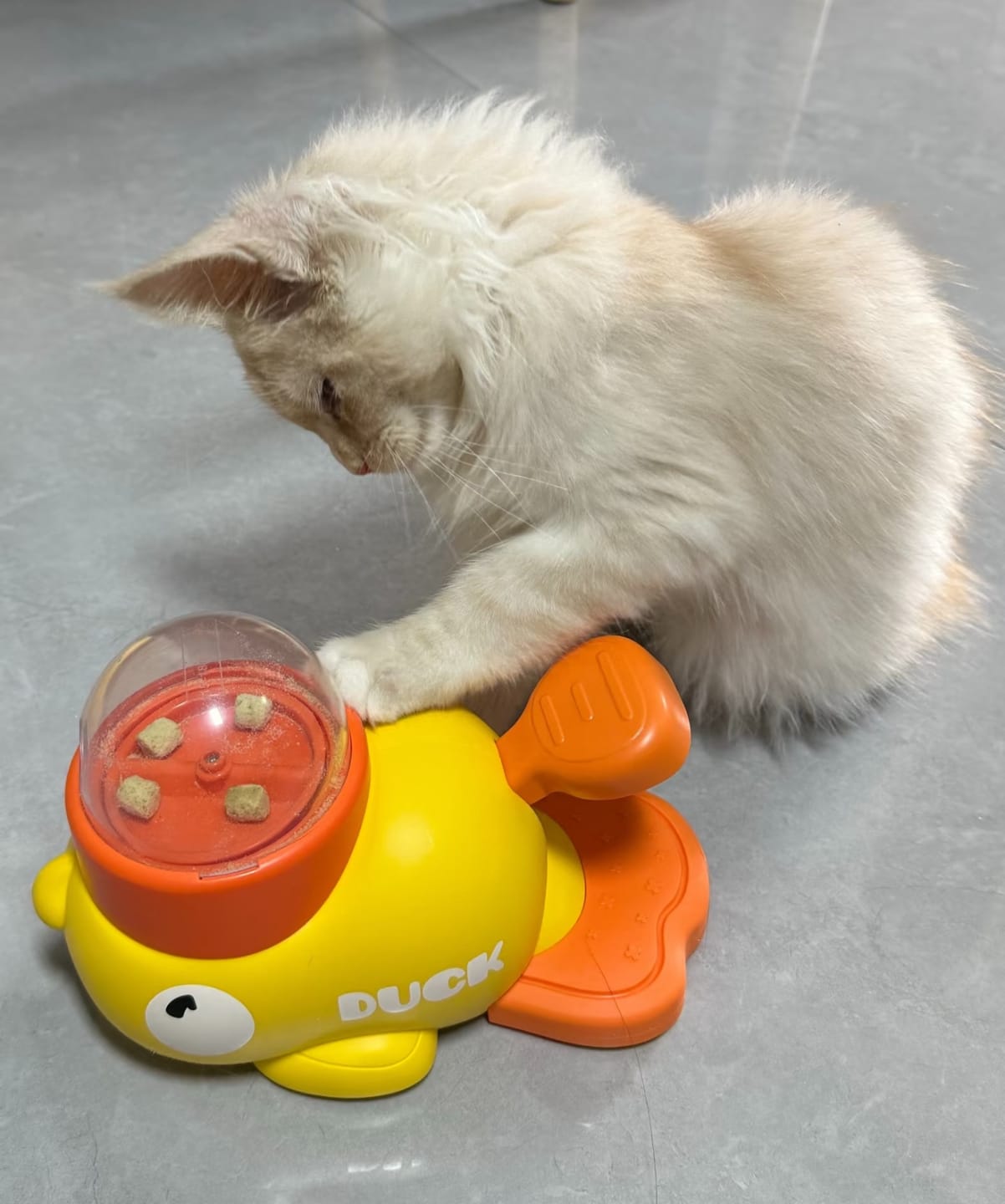 Customer photo review of Interactive Pet Feeder