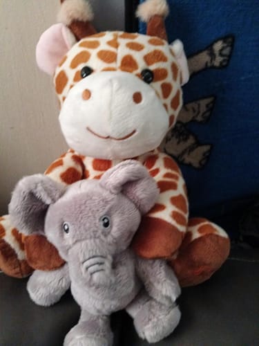 Customer photo review of Interactive Giraffe Stuffed Animal that Records Voice and Singing