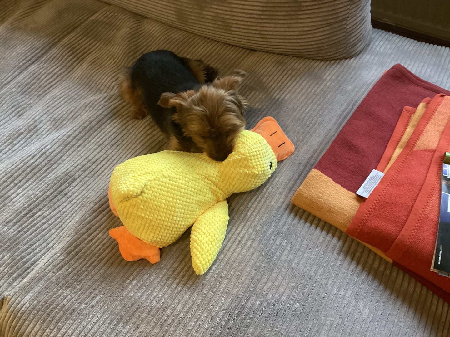 Customer photo review of HappyDuck™ – Anti-stress kosedyr