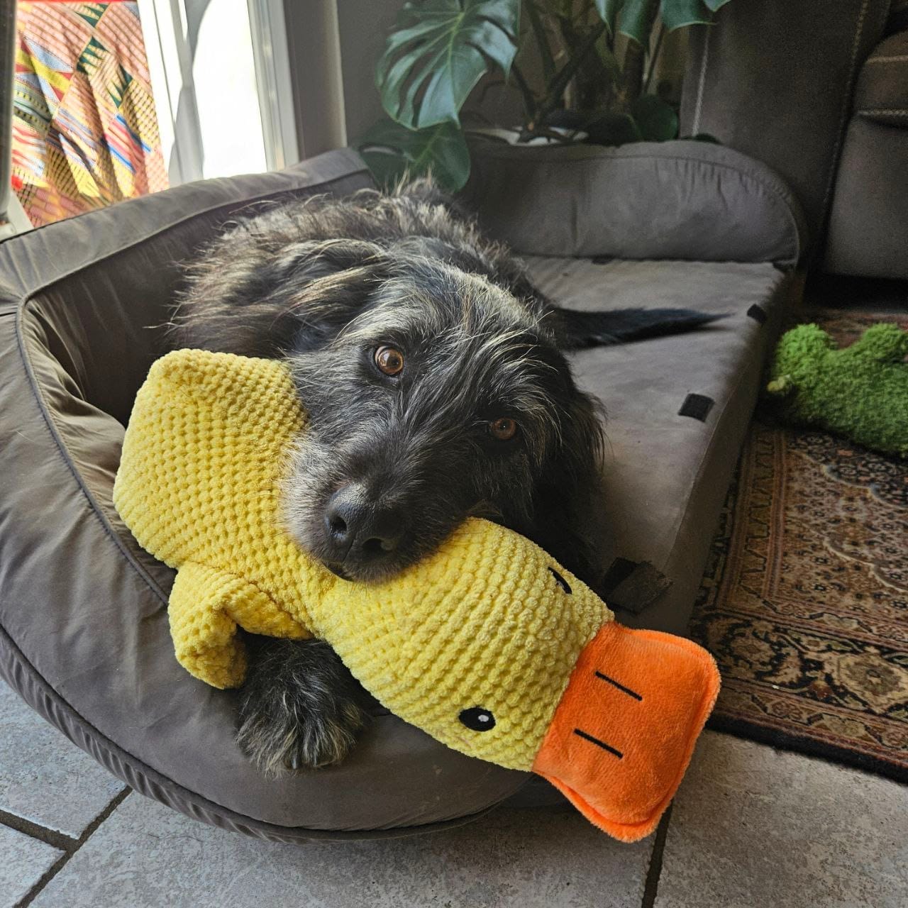 Customer photo review of HappyDuck™ – Anti-stress kosedyr
