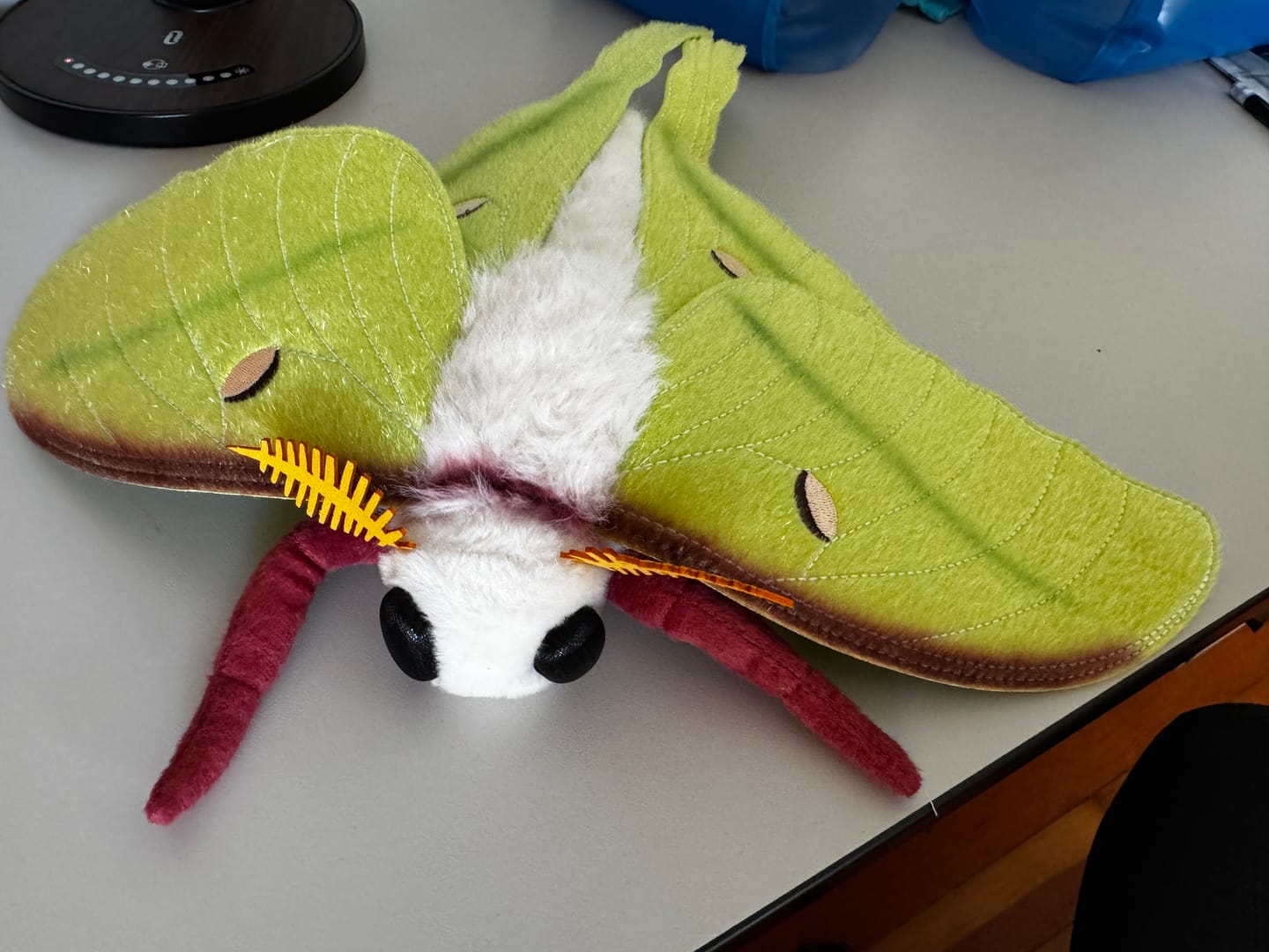 Customer photo review of Indian Moon Moth Soft Stuffed Plush Toy