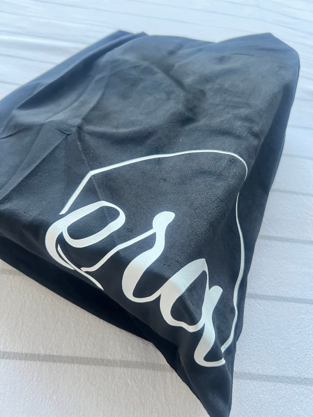 Customer photo review of The Carryall Icon Tote