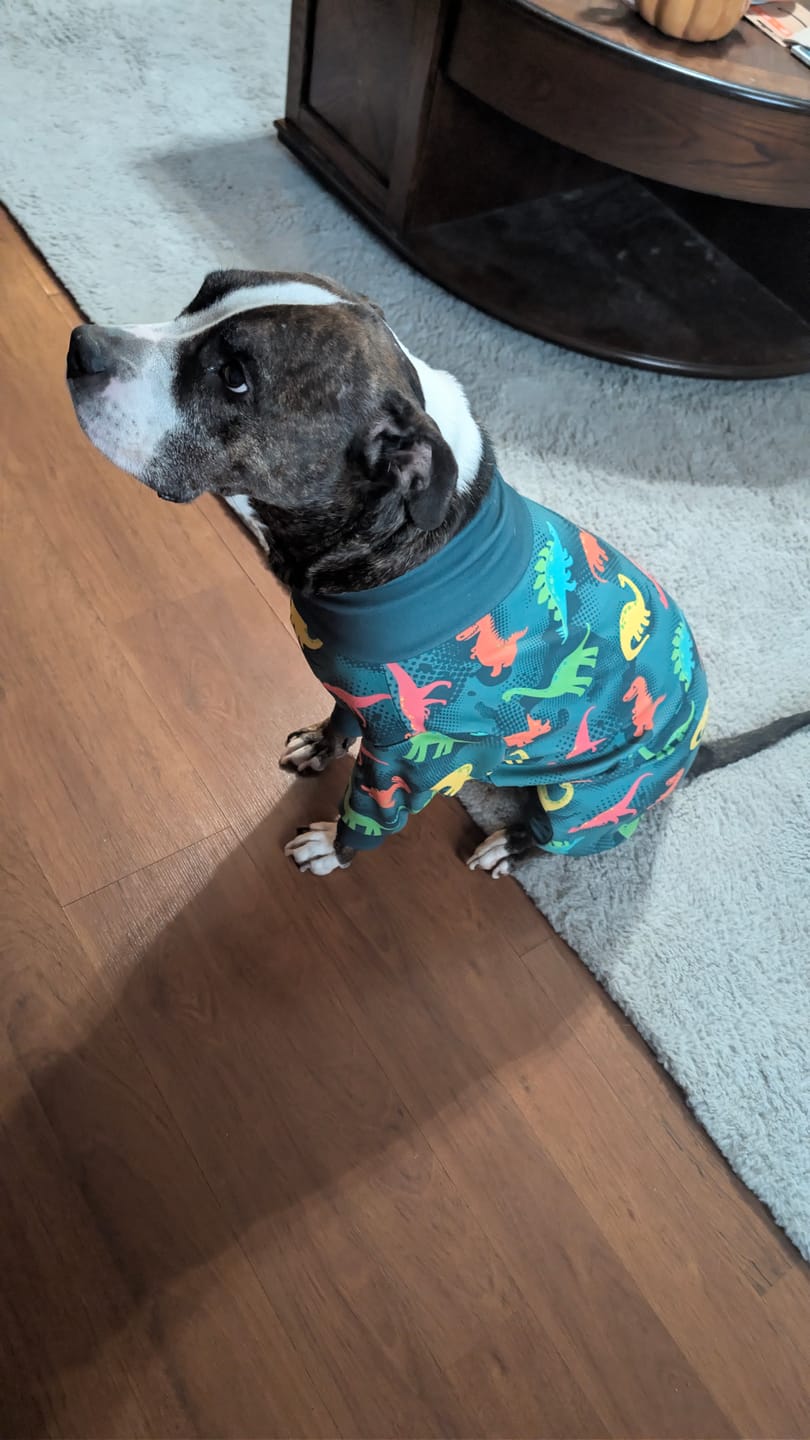 Customer photo review of Dog Pajama - Dinosaurs