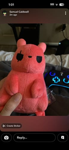 Close-up of a customer holding a pink Rain World Slug Cat plushie.