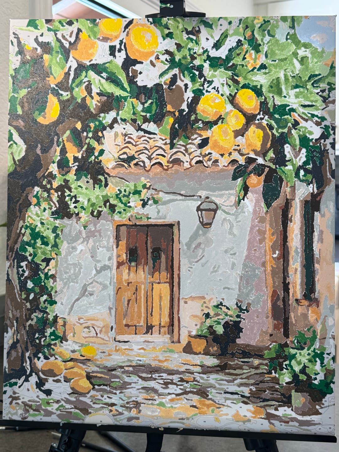 Customer photo review of Lemon Yard