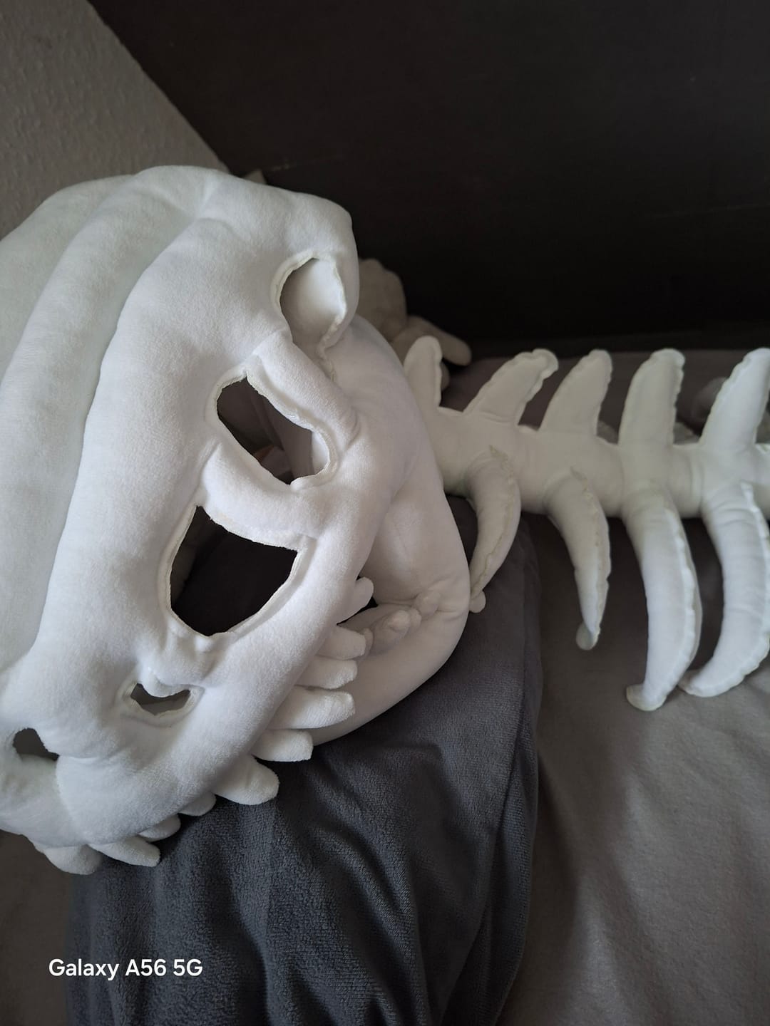 Customer photo review of The Godzilla Snug™