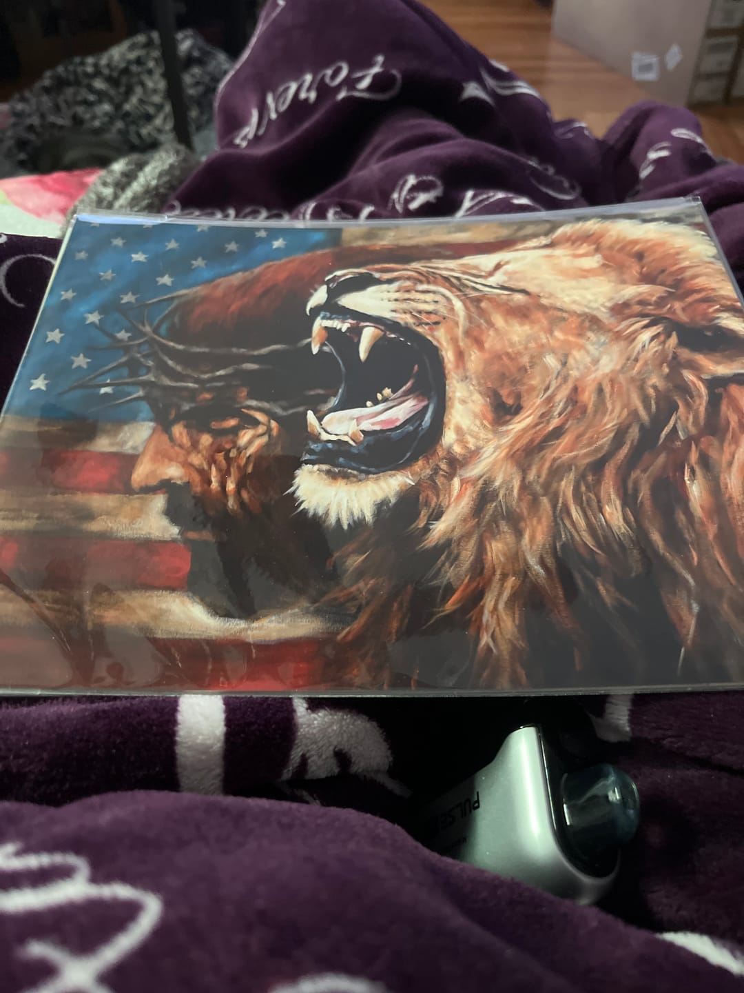 Customer photo review of Return of a Nation