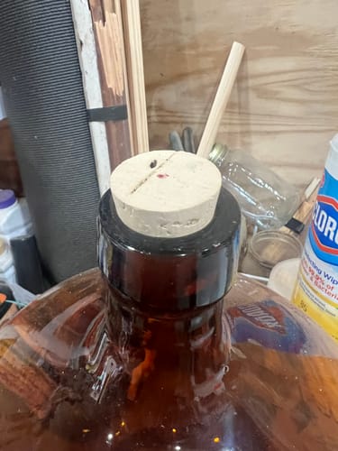 Customer photo review of Size 16 Cork Stoppers - Standard