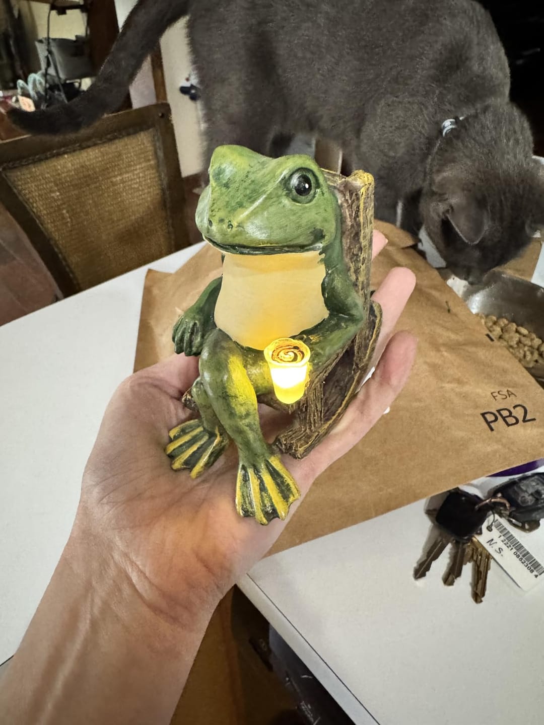Customer photo review of Solar Mini Frosch Gartenfigur – Leuchtende Outdoor Deko