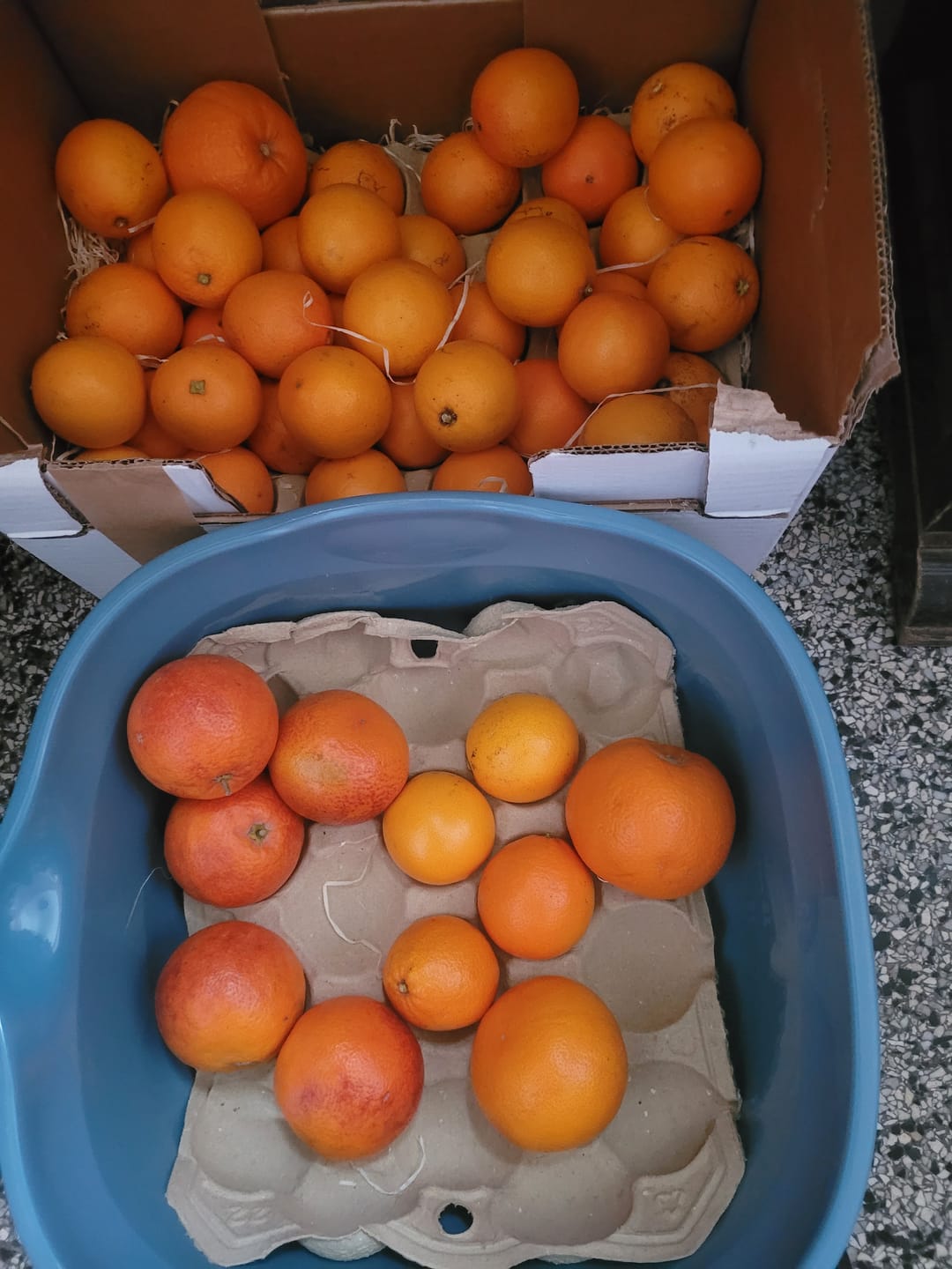 Customer photo review of Saft-Orangen Bio aus Sizilien