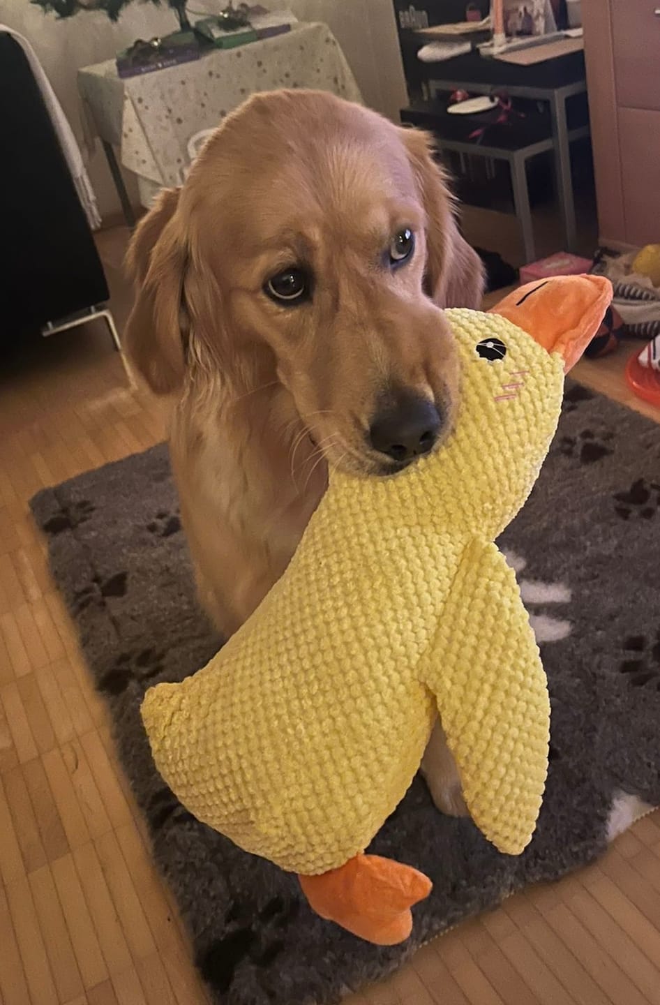 Customer photo review of HappyDuck™ – Anti-stress kosedyr