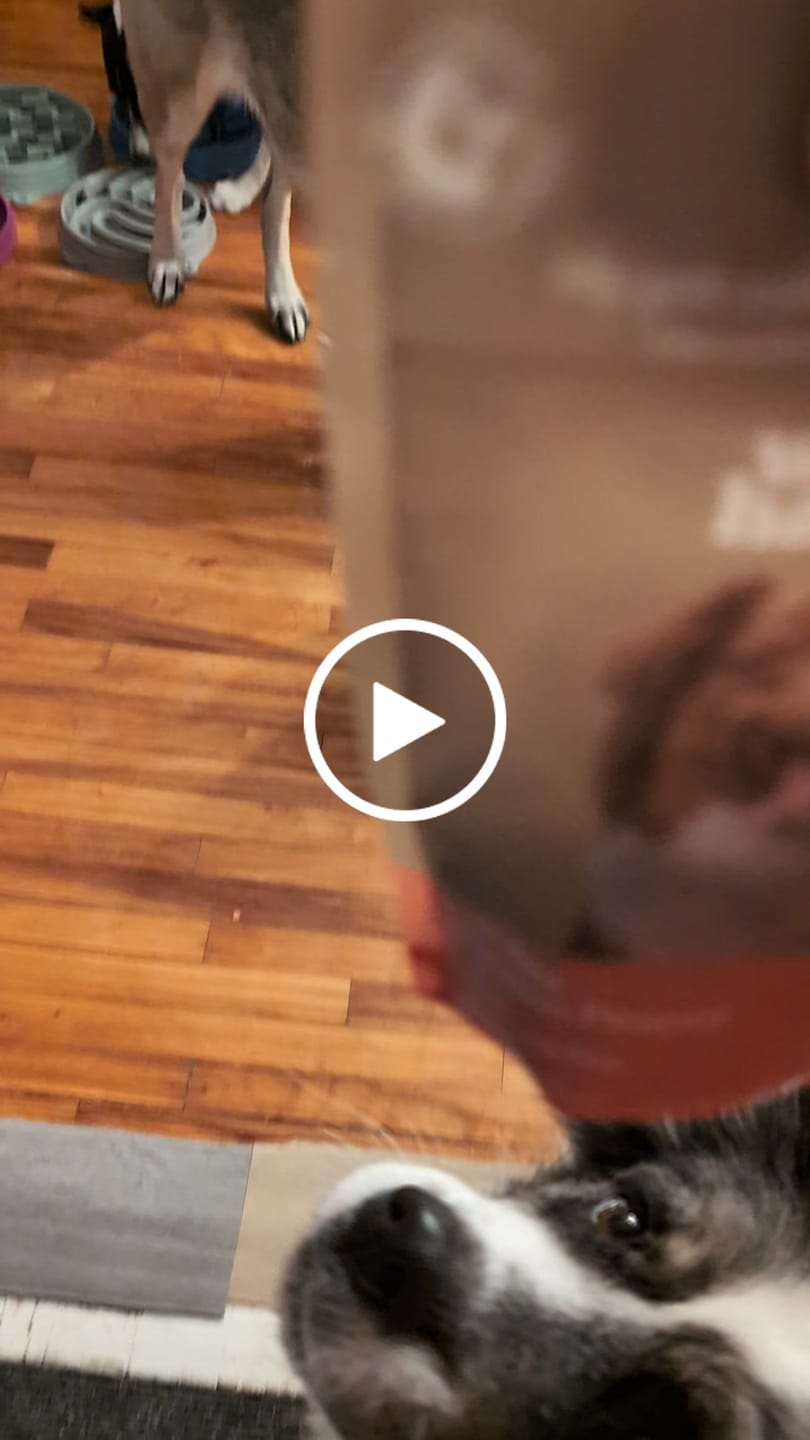 Customer video review of Training Bites