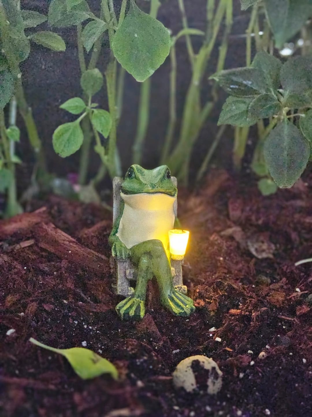 Customer photo review of Solar Mini Frosch Gartenfigur – Leuchtende Outdoor Deko