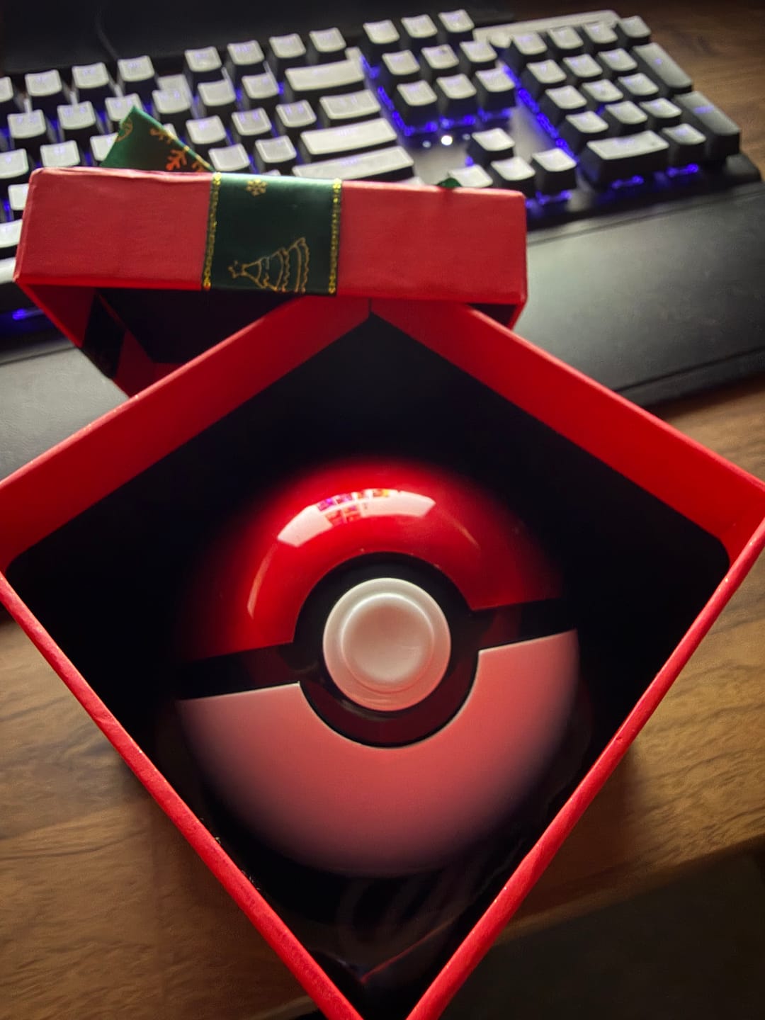 Customer photo review of Powerbank Ball