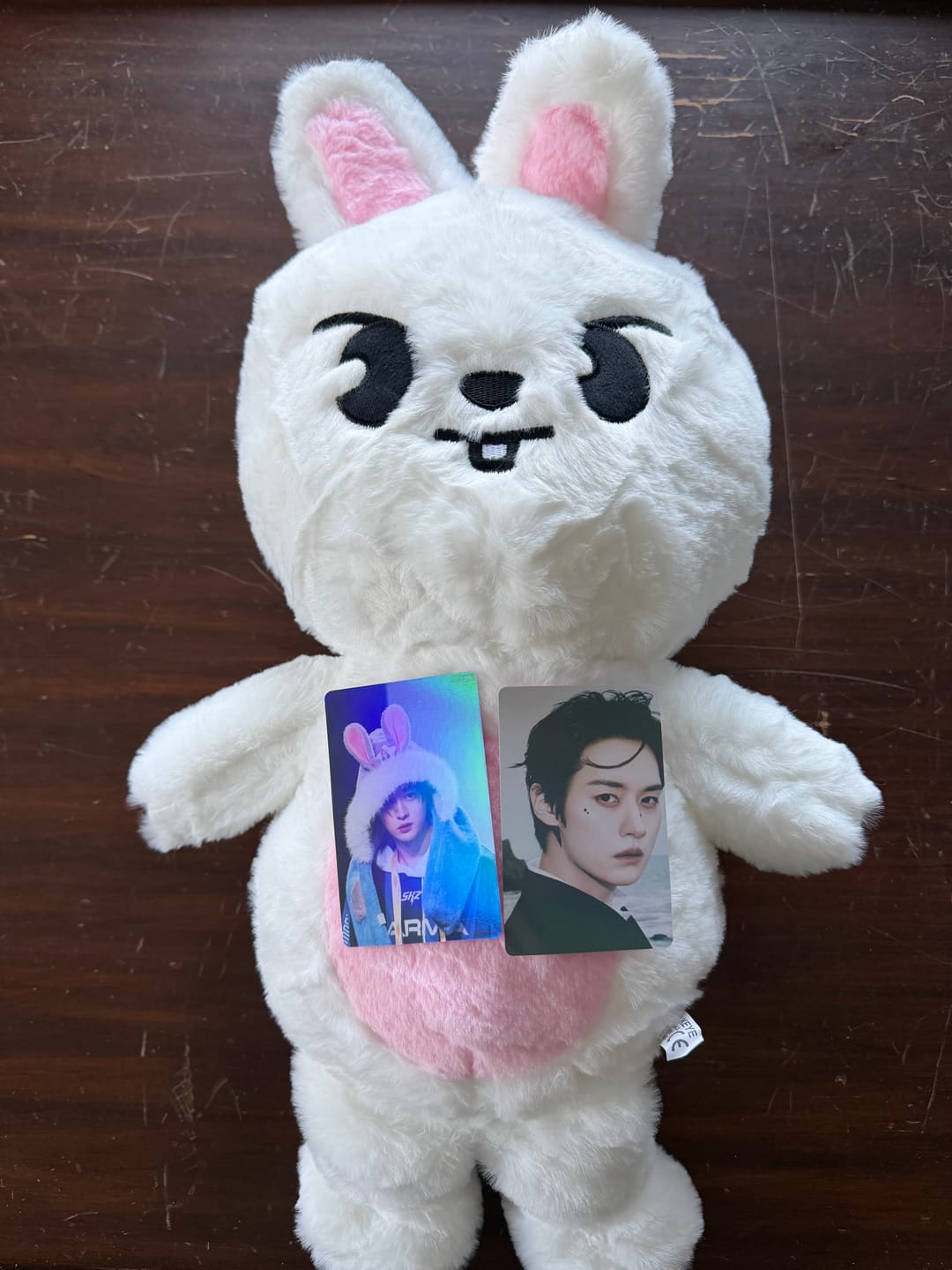 Customer photo review of SKZ Teddybear Plush