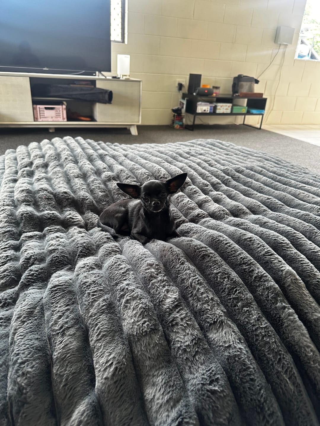 Customer photo review of Muscle Mat CloudPad