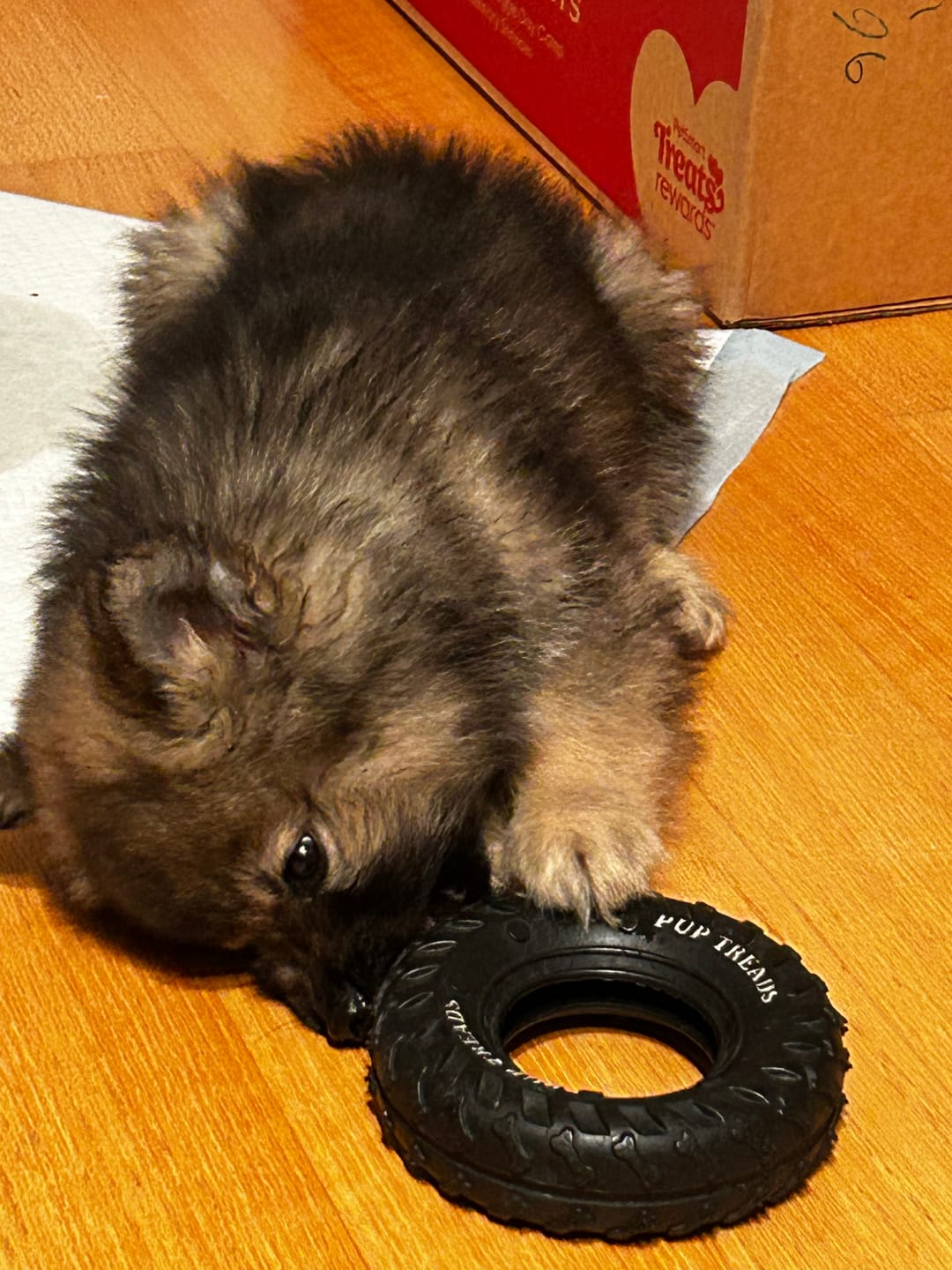 Customer photo review of 12 Inch Beef Jerky Stick